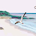 Playa de gaviotas I
