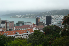 View Over Wellington