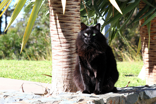 185/365 2025 enigmatic