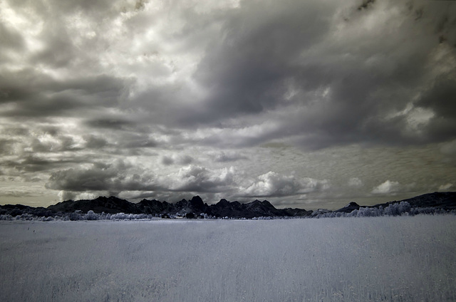 Lofoten - Langoya