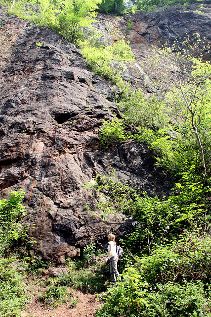 Fforest-Fawr Quarry