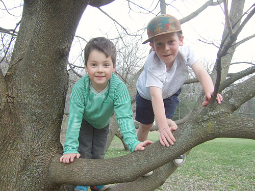 Boys In The Trees