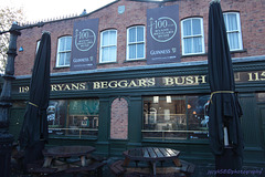 Ryans Beggars Bush 1