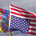 Women's March, Phoenix 1/21/17