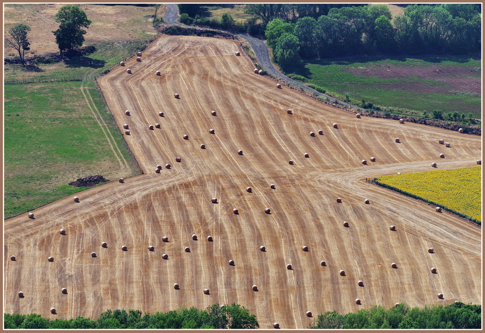 ...parcelles