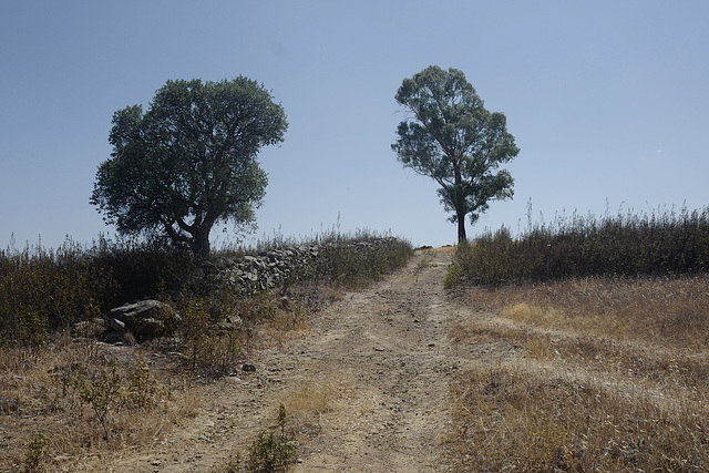 Penedos, Pathway