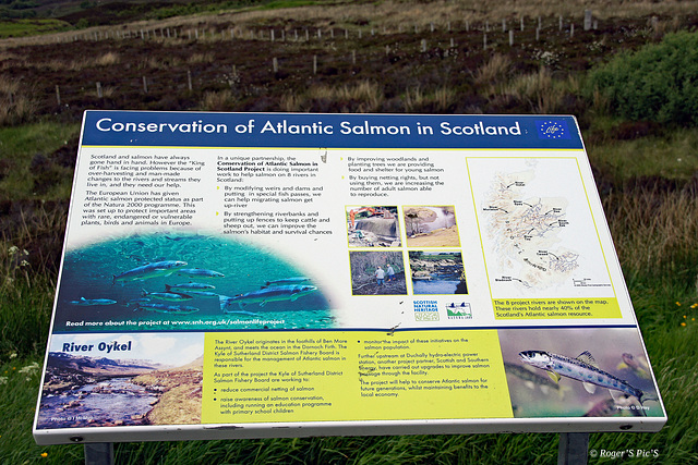 Dornoch Firth Viewpoint