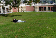 In der Herbstsonne auf der Wiese Relaxer