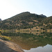 IMG 0781