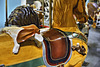 The One that Got Away! – Looff Carousel, Eldridge Park, Elmira, New York