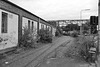 Gleise an der alten Papierfabrik