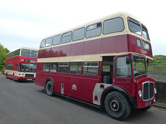 Buses at Bursledon Brickworks (4) - 11 May 2018