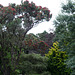 Wellington Botanic Gardens