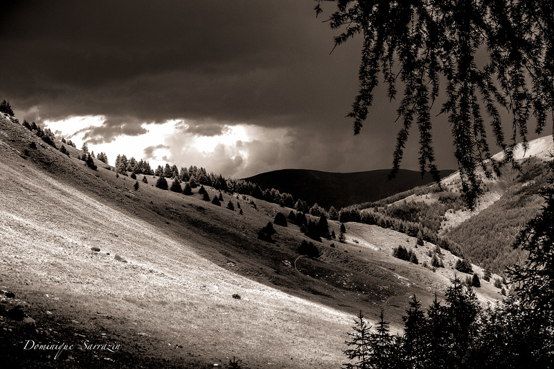 Parc du Mercantour