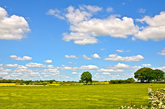 Sunny afternoon in Gnosall