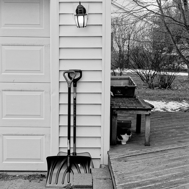 Lamp, Shovels, Kitty