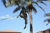 UAE, Dubai, Sculpture of a tightrope walker
