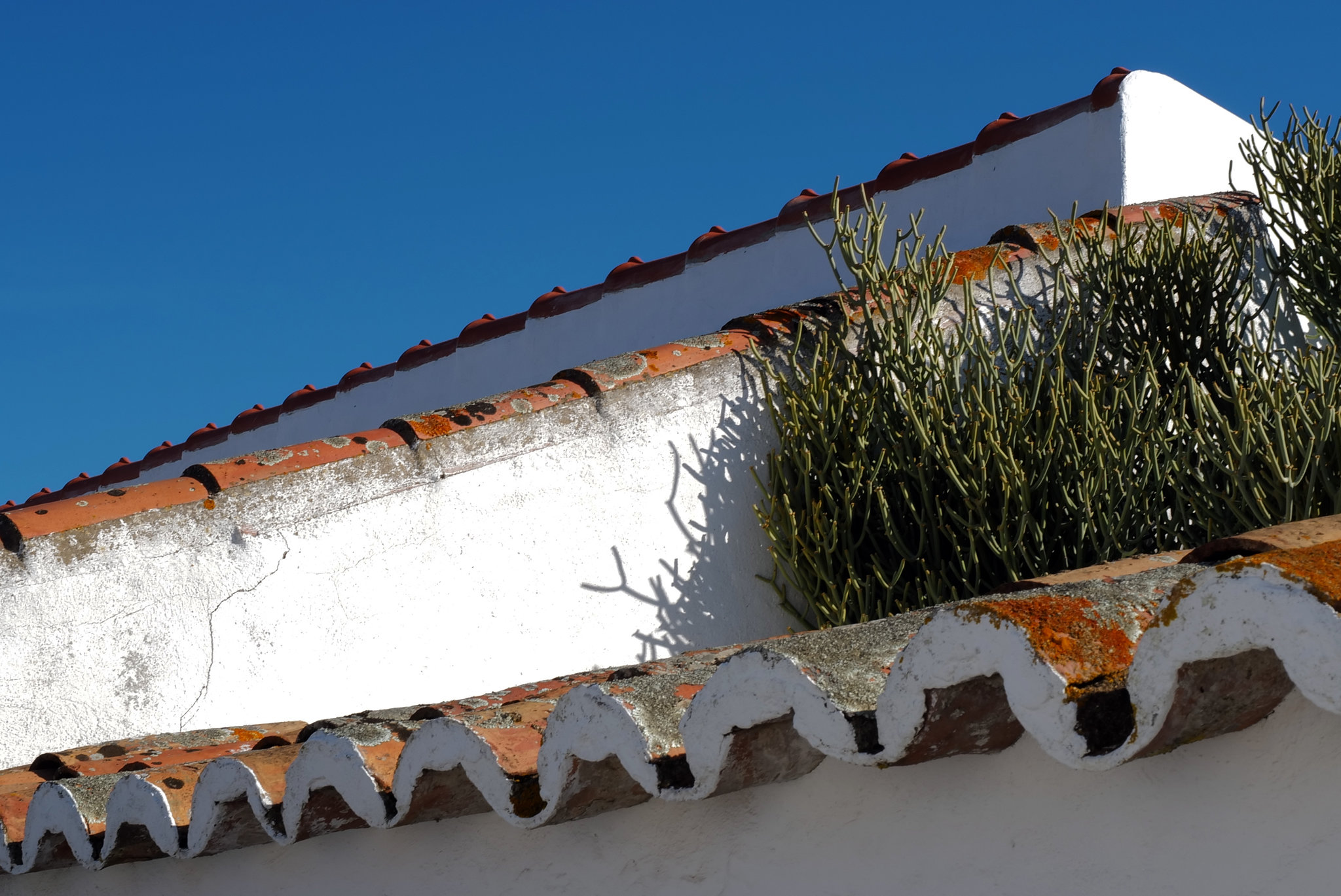 Penedos, Patio, Lines