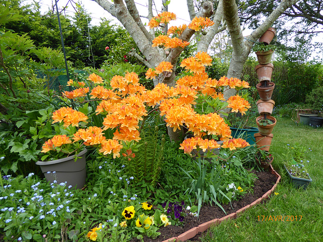 retour au jardin retour au jardin
