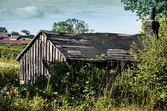 Dilapidated Shed