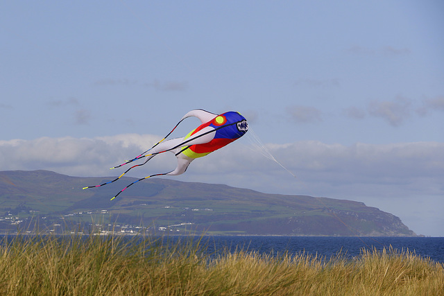 Castlerock Strand