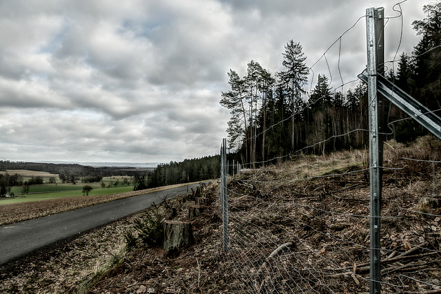 Not so Happy Forest Fence ;-)