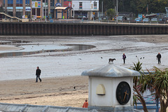 Dog on a clock