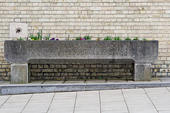 King's Lynn trough