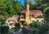 Cottage in the Wood