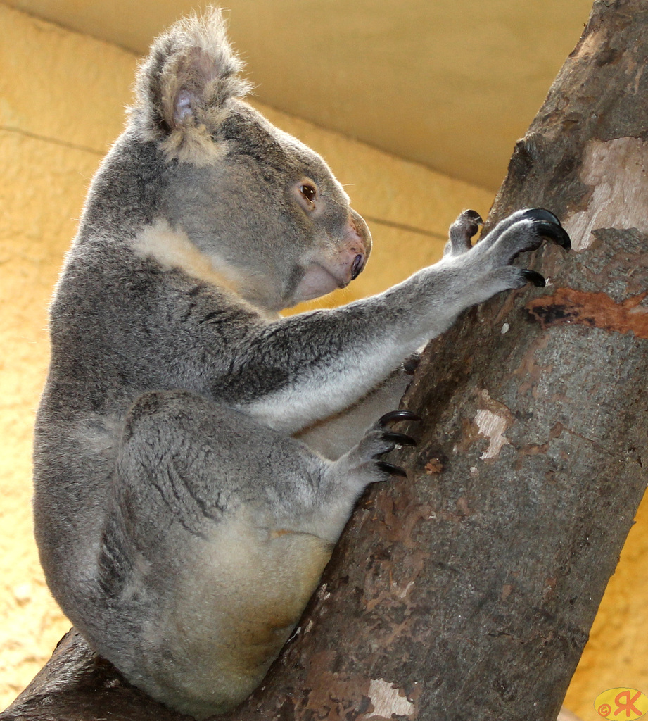 2023-05-07 46 Ea Zoo