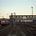 BÖ0030522