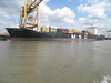 MSC Santhya