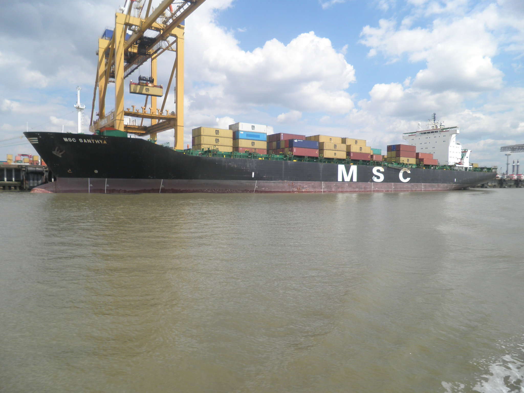 MSC Santhya