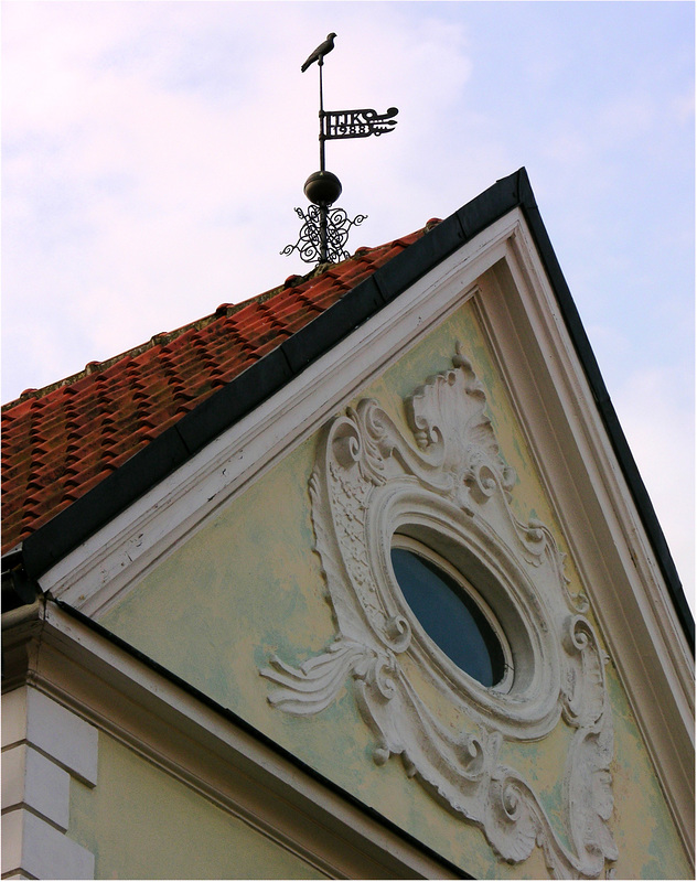 Wetterschwalbe