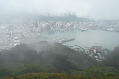 Wellington Under Cloud