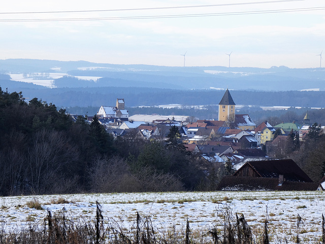 Blick nach Leonberg