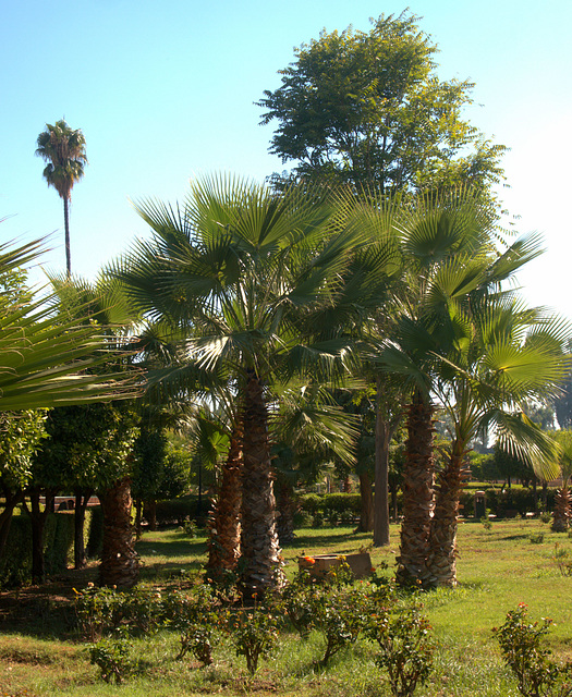Marrakesch
