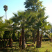 Marrakesch