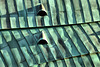 Christmas Day In Newcastle. The Centre For Life. Part 1