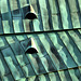 Christmas Day In Newcastle. The Centre For Life. Part 1