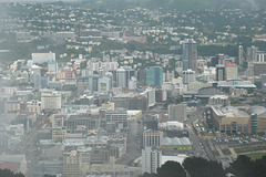 View Over Wellington