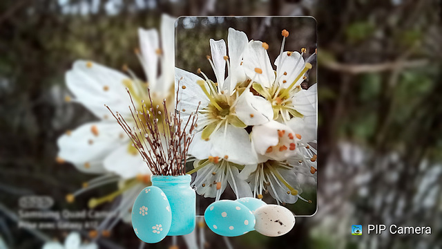 Joyeuses Pâques avec une de mes photos et Pip caméra