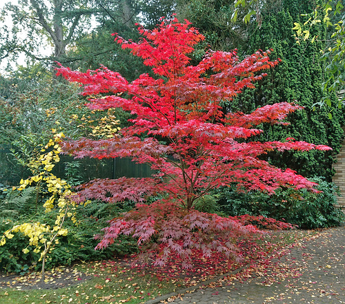 Eißendorfer Pferdeweg, Harburg