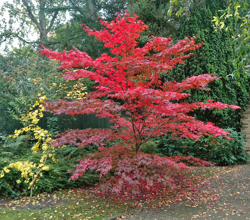 Eißendorfer Pferdeweg, Harburg