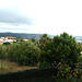 Rural landscape from the Restaurant Zé do Poço, yesterday's lunch time