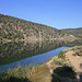 IMG 0784