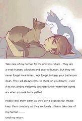 Take care of my human
