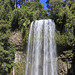 Millaa Millaa Falls