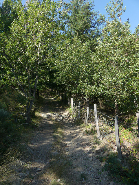 20180910 -15 Randos solo Prévenchères (Lozère-Villefort) (476) al