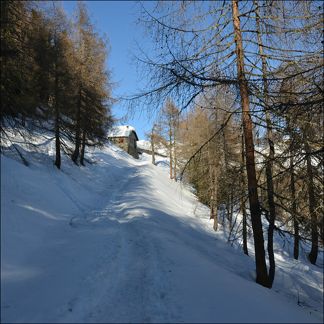 Mountain hut.